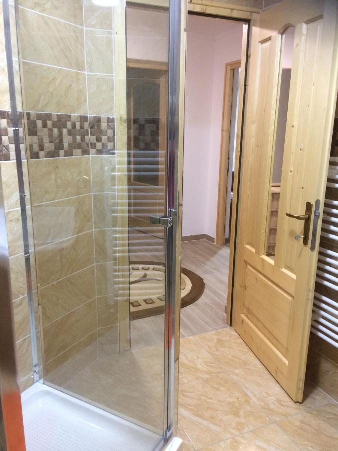 Vila Floarea De Colt Apartment Borsa  Luaran gambar