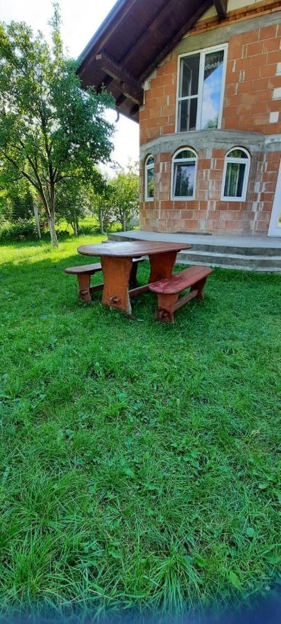 Vila Floarea De Colt Apartment Borsa  Luaran gambar
