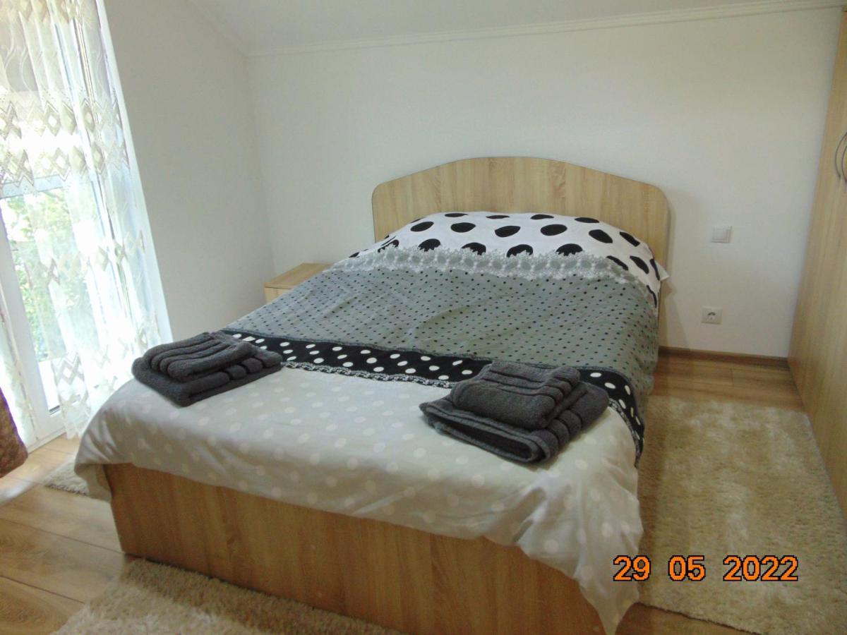 Vila Floarea De Colt Apartment Borsa  Luaran gambar